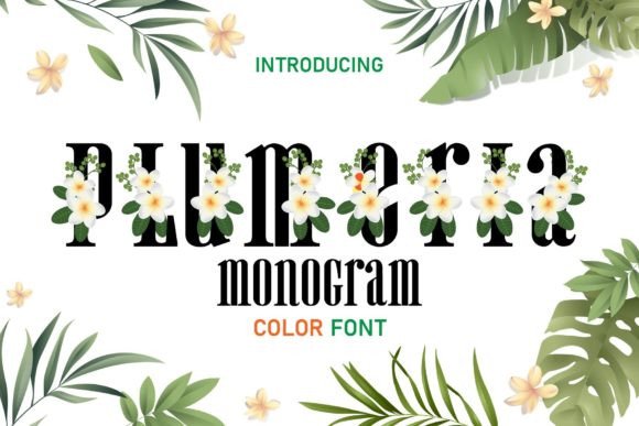 Plumeria Monogram: A Color Font That Captures Summer